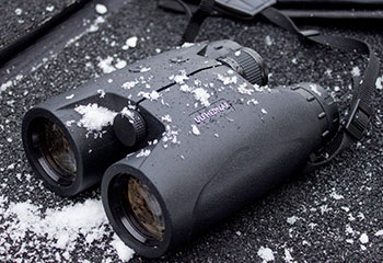 Binocular Binocular