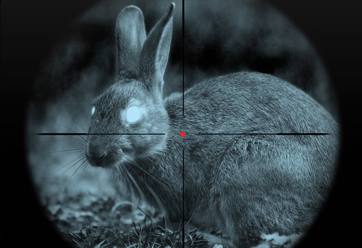 Night Vision Night Vision