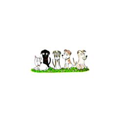 Dogs First Animal Rescue