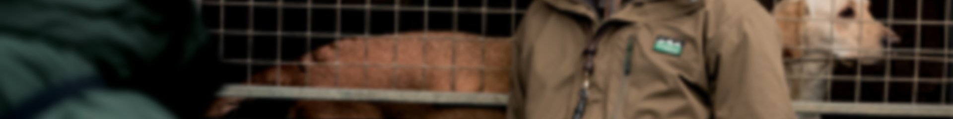 Men